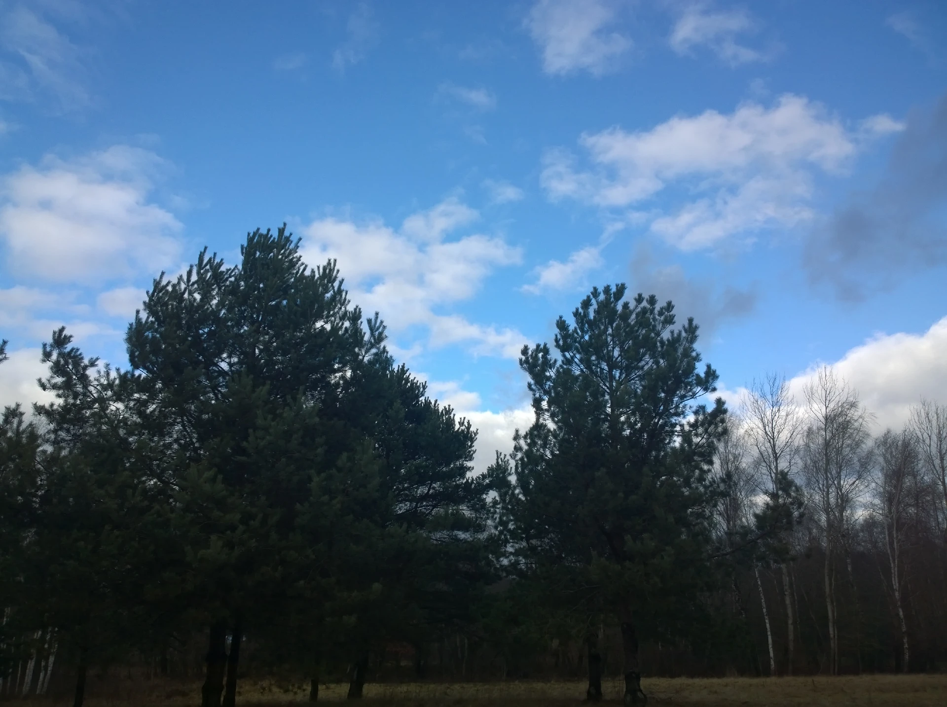 Taken on Nokia Lumia 1020